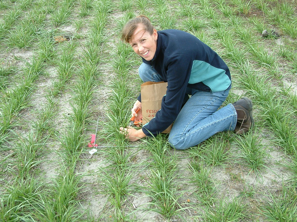 Paula Jacobsson taking a pasture cut in the newly established tall fescue pasture at the Proof Site in May 2006.