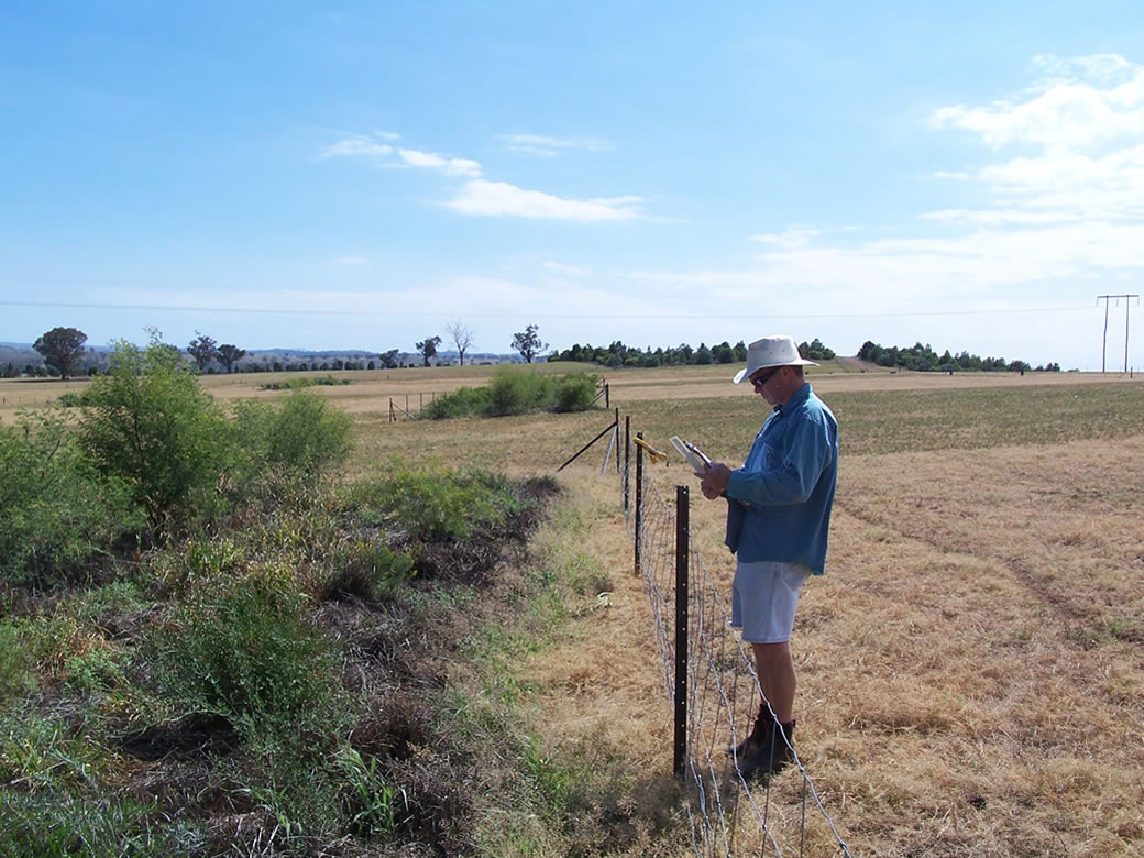 Ian Hume measures soil moisture under the shrubs and adjacent annual pastures at Wagga Wagga EverGraze Proof Site.