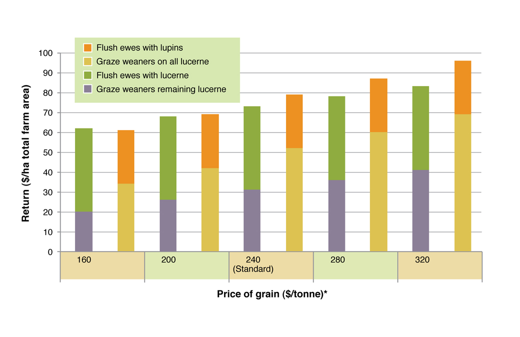 Figure 6. Comparison of returns from flushing ewes and grazing weaners on green feed under five grain price scenarios. See Table 2 for assumptions used in this analysis.