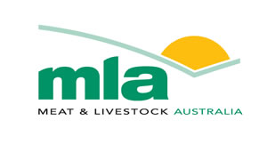 MLA_logo-large