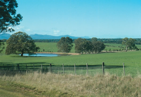 Farm dam in south-west Victoria