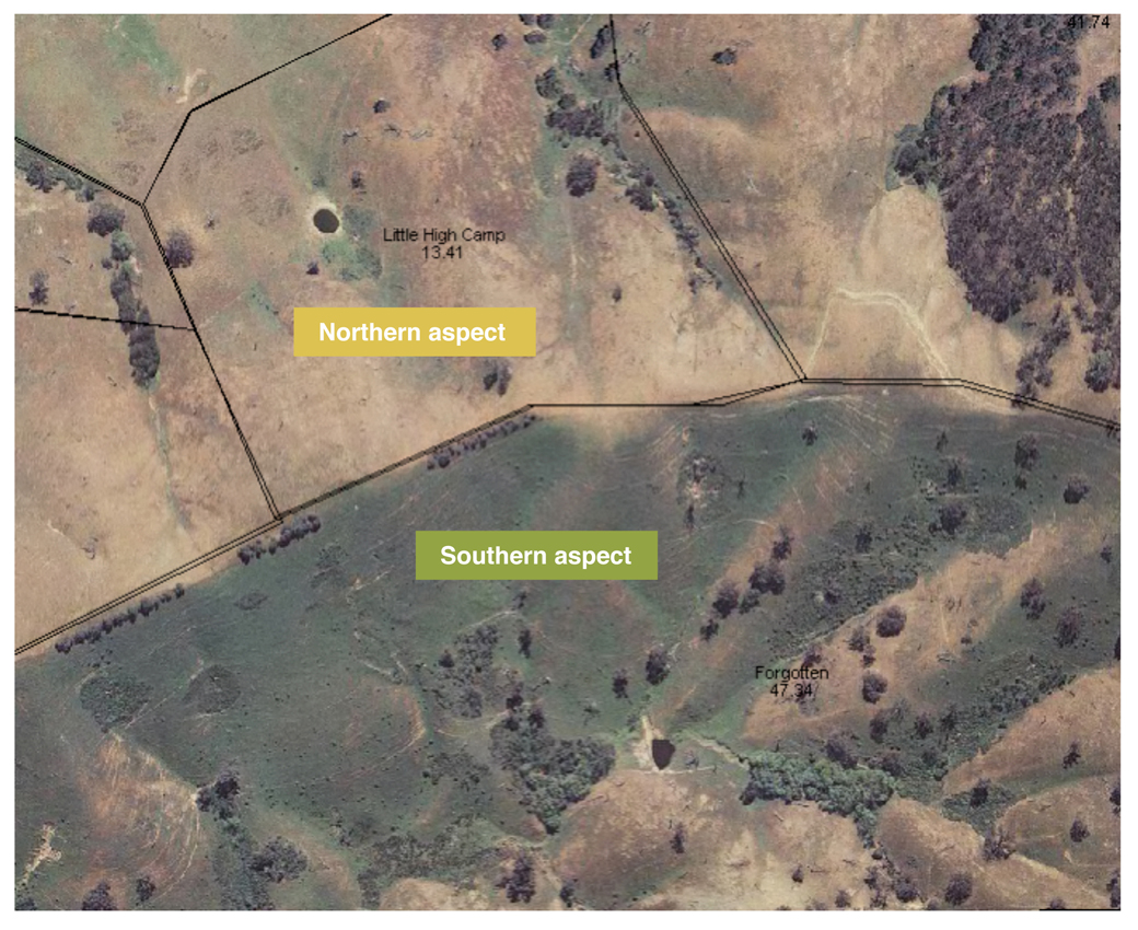 Figure 1. Northern and southern aspects in hill country pastures showing differences in ability to hold onto green feed in late spring/early summer (Bonnie Doon, Victoria)