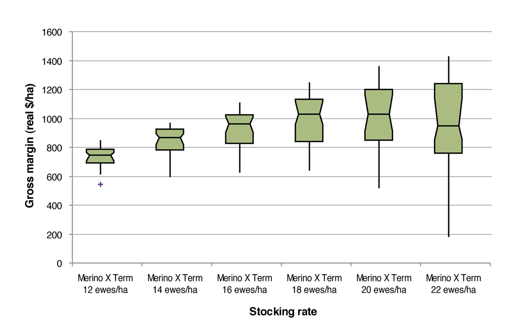 Figure 3: Box plots of gross margins ($/ha) at different stocking rates for the August lambing Merino x Terminal system on the EverGraze Perennial Ryegrass System (Warn 2011). Box plots represent median, range and interquartile range, + indicates outliers.