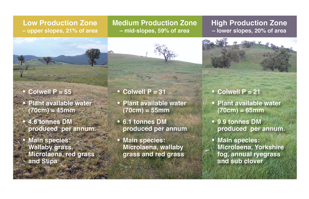 Figure 1: Production zones at Panuara, showing the differences in soil phosphorus (Colwell P converted from measured Bray P, Plant Available Water (PAW) and differences in native perennial grass species).