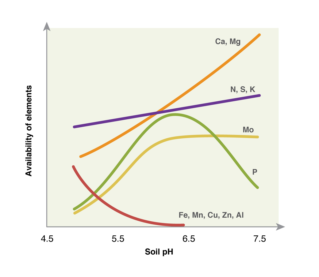 Figure 2: availability of plant nutrients with soil pH (CaCl), DAFWA Bulletin 4784, 2009