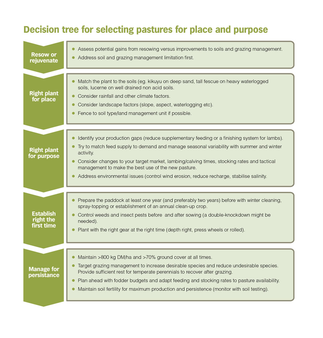 Decision Tree for selecting pastures for place and purpose