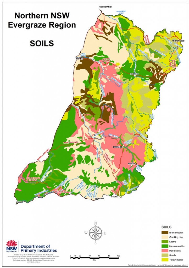 Figure 1. Soils of the Northern NSW EverGraze region