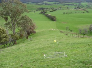 The ‘control’ paddock at Tallangatta Valley Supporting Site where the upper and lower slopes were managed in a single paddock