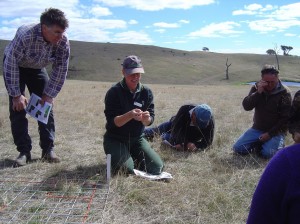 Site Coordinator Julie Andrew and site host Mark McKew identify native perennial grasses at the Warrak Supporting Site